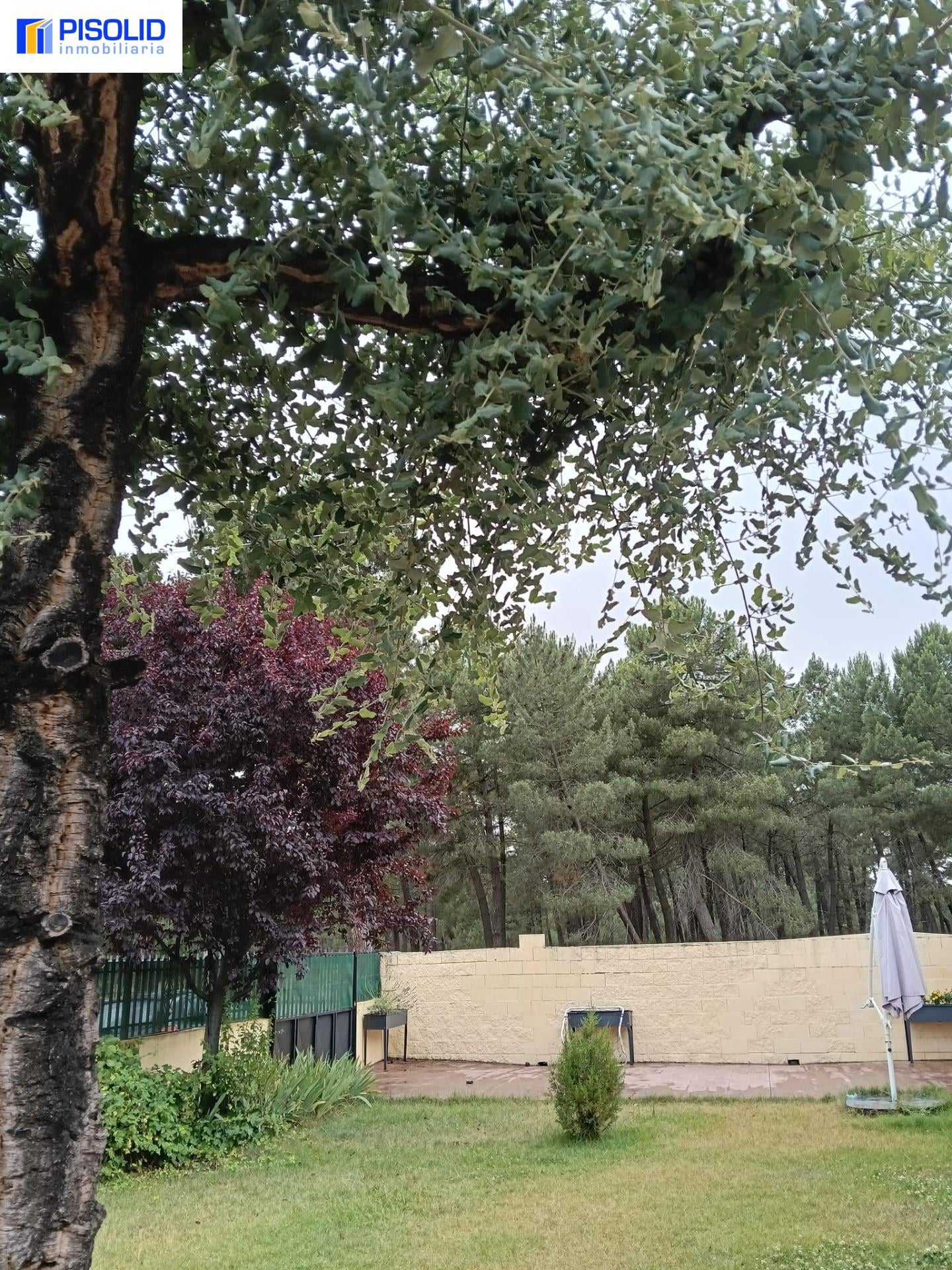 Miniatura 28 de CHALET EN VENTA EN MOJADOS